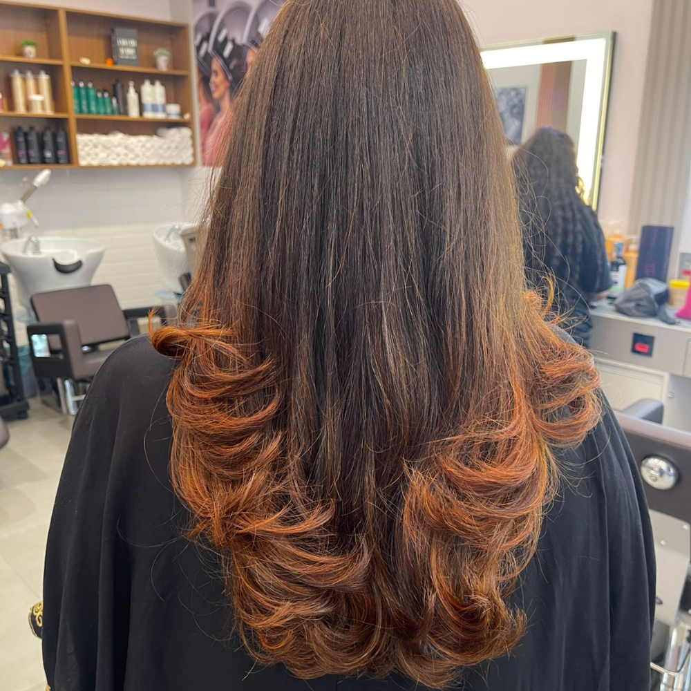 Trabalho Bella Donna