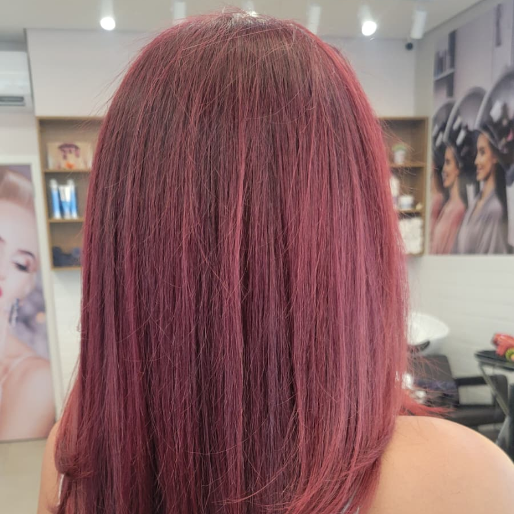 Trabalho Bella Donna