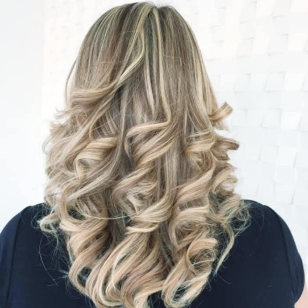 Trabalho Bella Donna