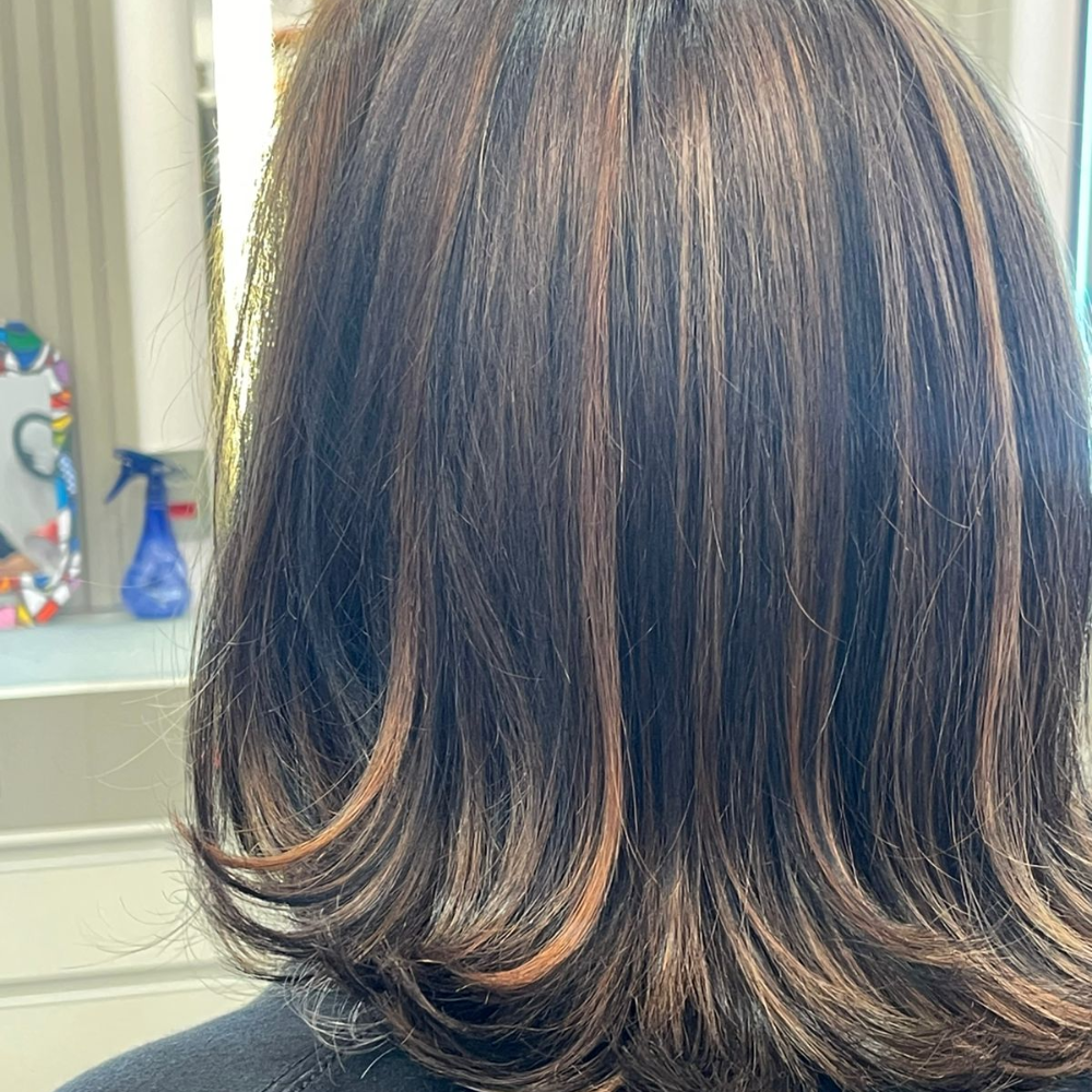 Trabalho Bella Donna