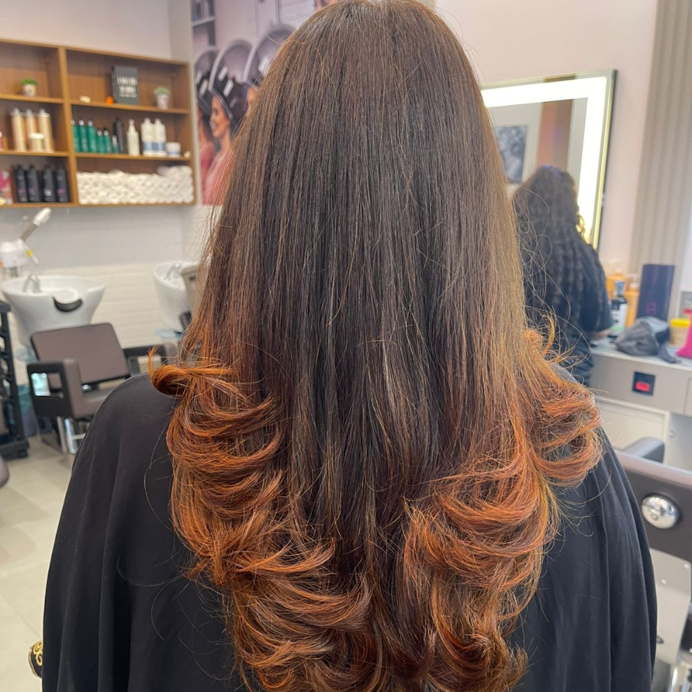 Trabalho Bella Donna