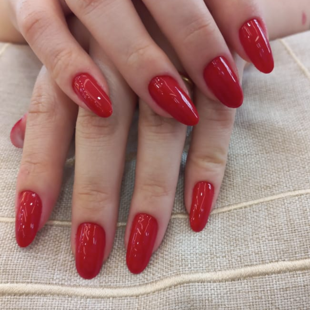 Trabalho Bella Donna