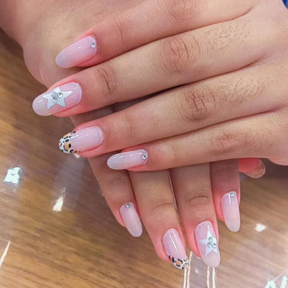 Trabalho Bella Donna