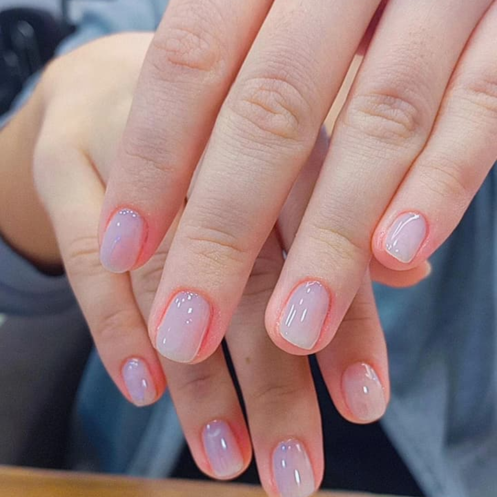 Trabalho Bella Donna