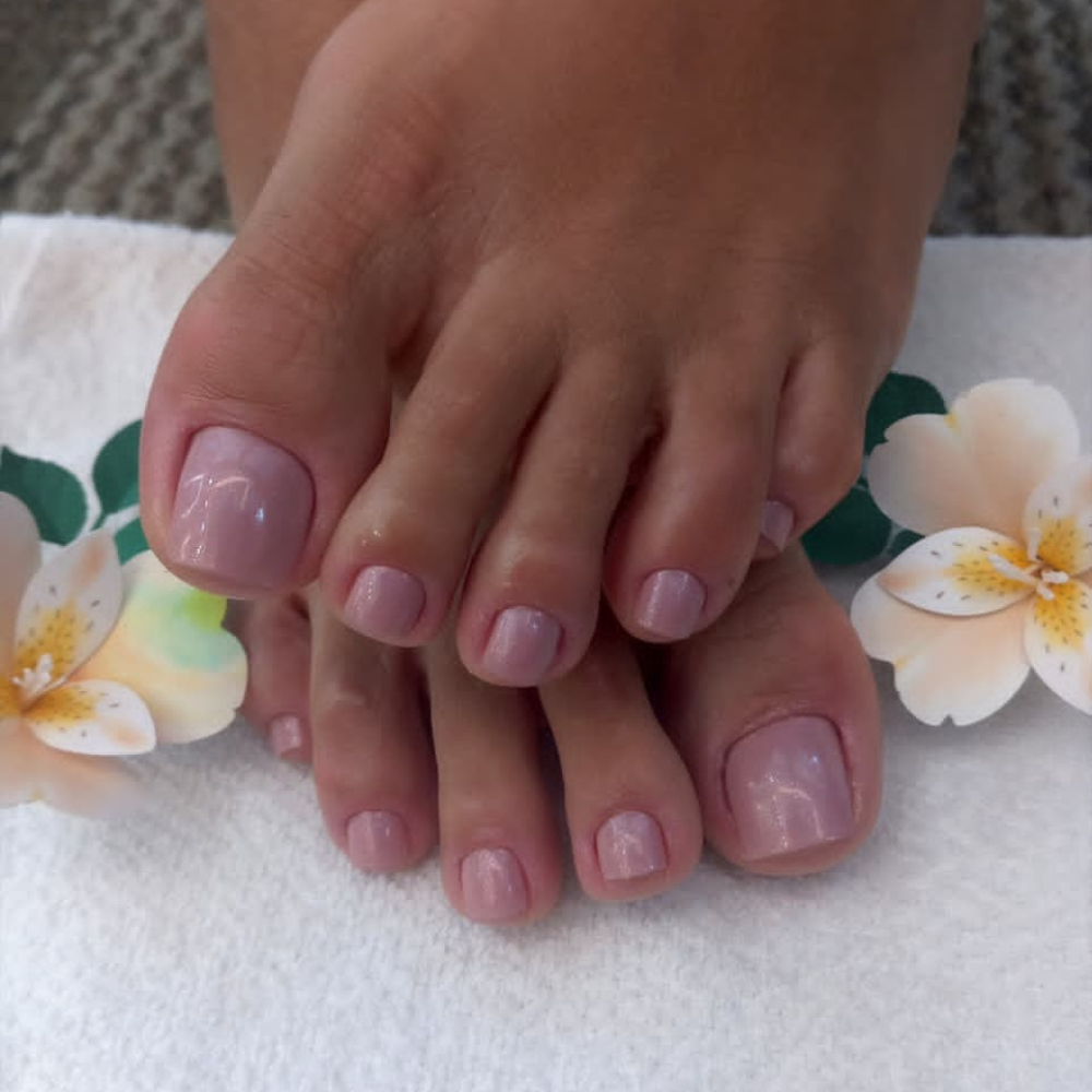 Trabalho Bella Donna